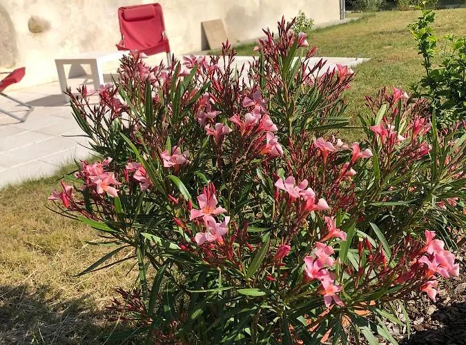 La Benetiere Prázdninový dům